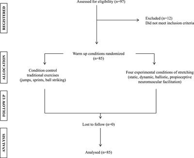 Warm-up stretching exercises and physical performance of youth soccer players